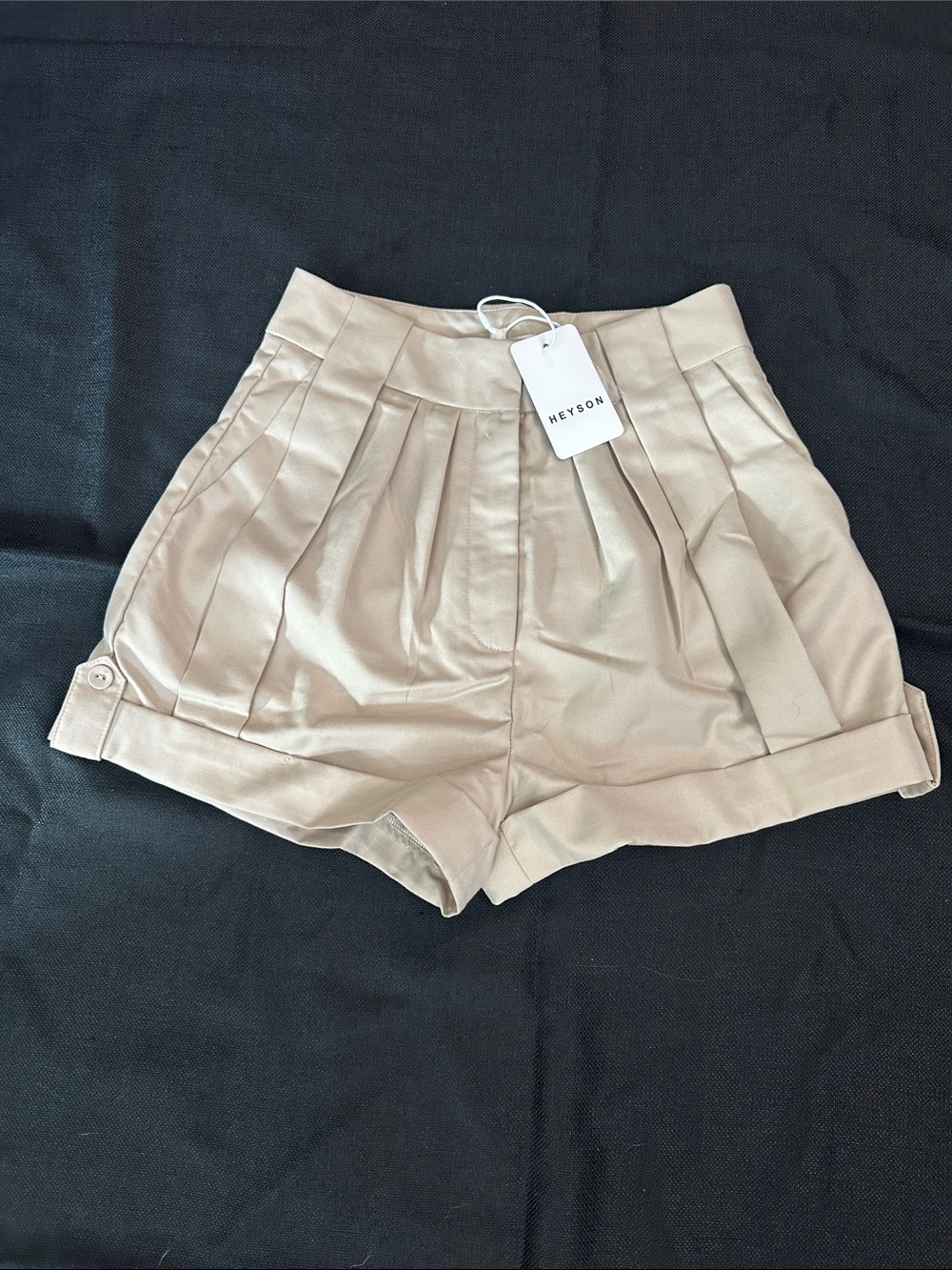 HEYSON High-Waist Pleated Shorts in Beige